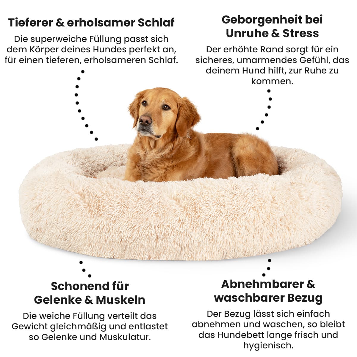CalmBed - Für besseren Schlaf und einen ruhigeren Hund